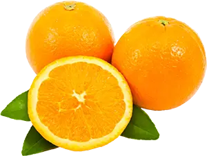 Cítricos