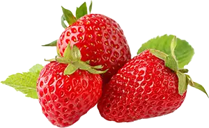 Fresa
